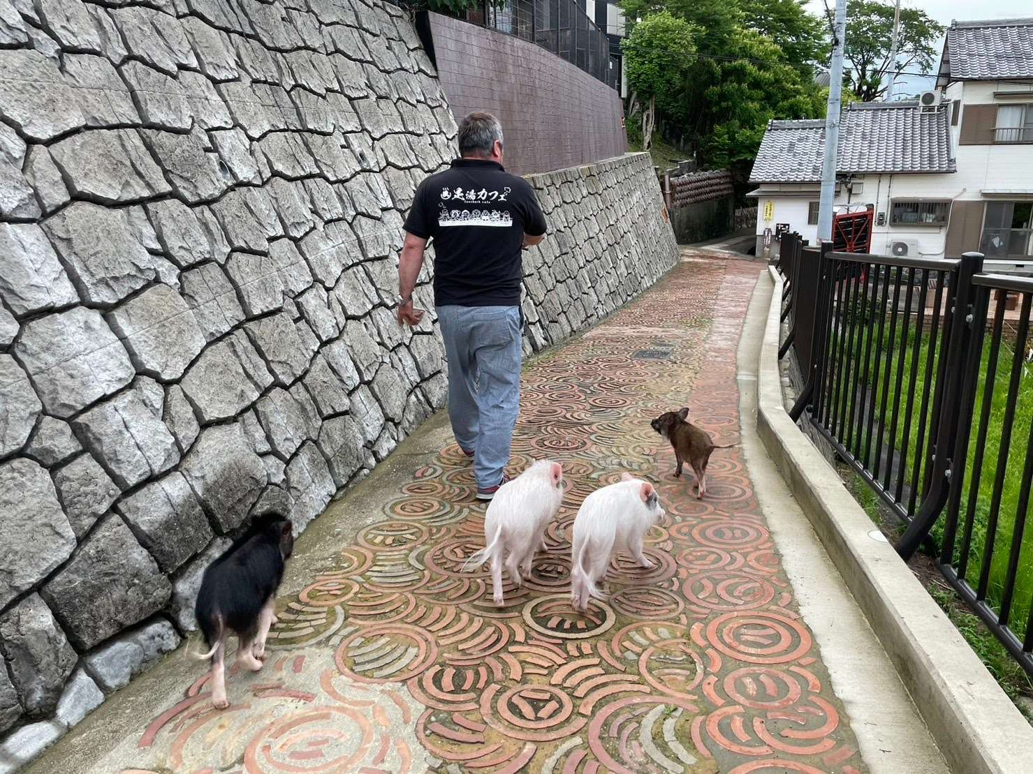 【君の豚は。】マイクロブタカフェ愛知店